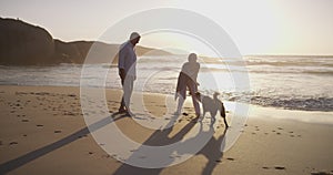 Senior, couple or dog at beach with play, bonding and sunset for retirement, holiday or vacation. Elderly, man or woman