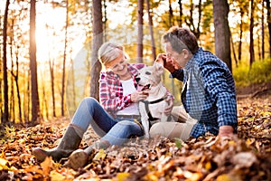 Senior couple with dog on a walk in an autumn forest.