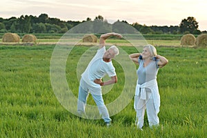 senior couple doing exercises