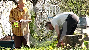 Senior couple doing gardening in their backyard