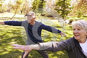 Senior Couple Doing Tai Chi Exercises Together In Park