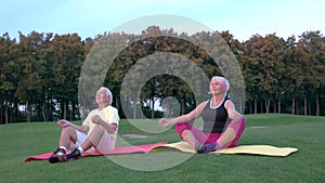 Senior couple doing yoga.