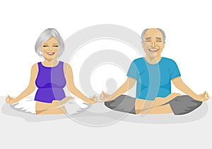 Senior couple doing yoga. Body and mind in harmony with nature.