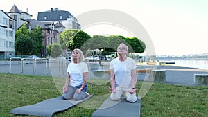 Senior couple doing yoga outdoors. Healthy lifestyle concept