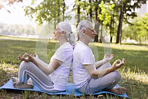 Senior couple doing yoga in the park stock photo