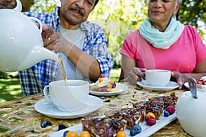 Senior couple drinking tea