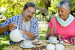 Senior couple drinking tea