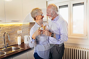 Senior couple drinking wine in kitchen