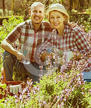 Senior couple engaged in gardening