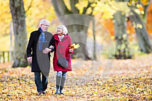 Senior Couple Enjoying Autumn Walk