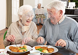 Senior Couple Enjoying Meal Together photo