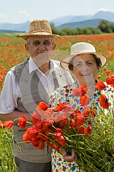 Senior couple enjoying summer