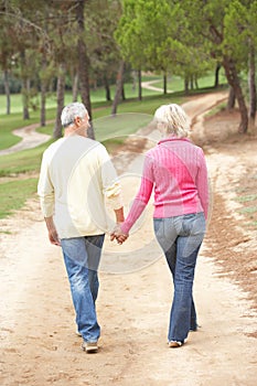 Senior Couple enjoying walk in park