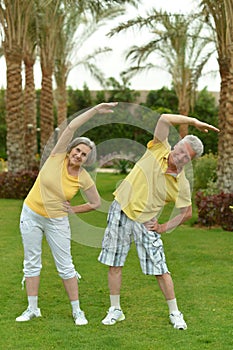 Senior couple exercising