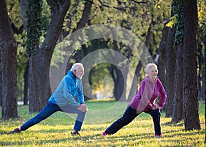 Senior couple exercising in park