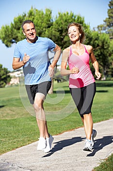 Senior Couple Exercising In Park