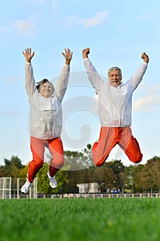 Senior couple exercising in park