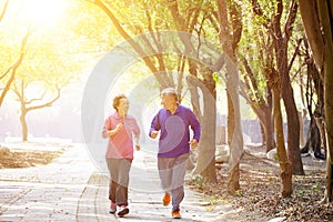 Senior Couple Exercising In the Park