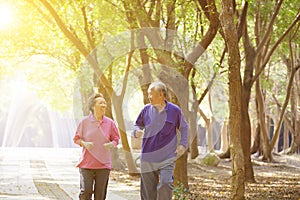 Senior Couple Exercising In Park