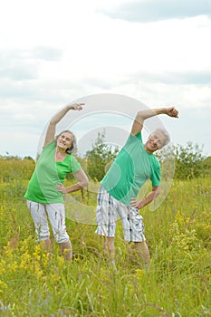 senior couple exercising in summer park