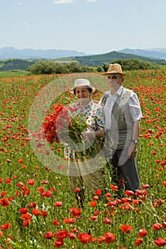 Senior couple on the flower field