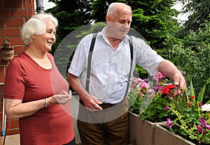 Senior couple gardening