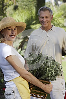 Senior Couple Gardening