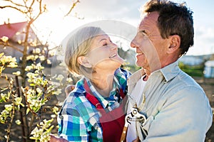 Senior couple gardening