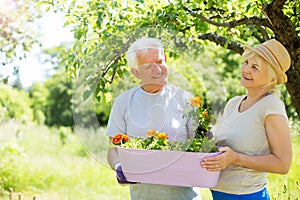 Senior couple gardening