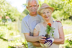 Senior couple gardening