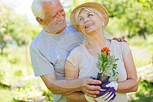 Senior couple gardening