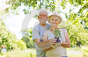 Senior couple gardening