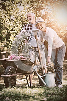 Senior couple gardening in the garden