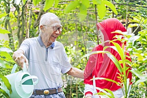 Senior couple gardening and laughing in backyard