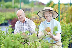 Senior Couple Gardening in Plantation