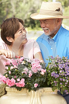 Senior Couple Gardening Together