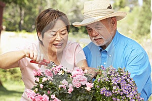 Senior Couple Gardening Together