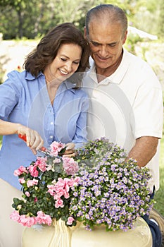 Senior Couple Gardening Together