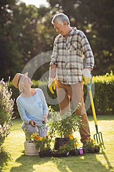 Senior couple gardening together