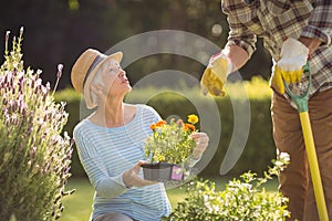 Senior couple gardening together