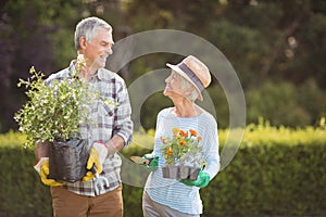 Senior couple gardening together