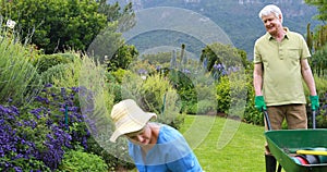 Senior couple gardening together