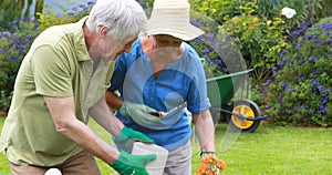 Senior couple gardening together in backyard