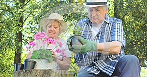 Senior couple gardening together in garden