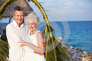 Senior Couple Getting Married In Beach Ceremony