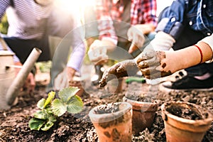 Senior couple with grandaughter gardening in the backyard garden