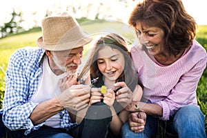 Senior couple with granddaughter outside in spring nature, relaxing on the grass.