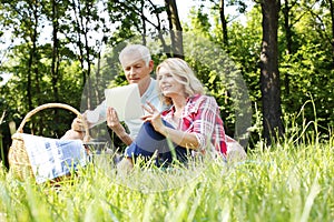 Senior couple having picnic