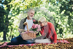 Senior couple having a picnic in park