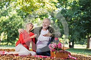 Senior couple having a picnic in park